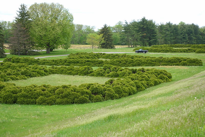 File:Hedge Lettering - Dawes Arboretum - DSC02905.JPG