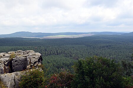 Heers vom Regenstein