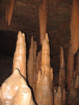 Heraultský stalagmit 3.JPG