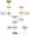 Hierarchy of academics disciplines according to Comte.pdf