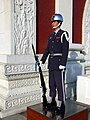 中華民國空軍儀隊
