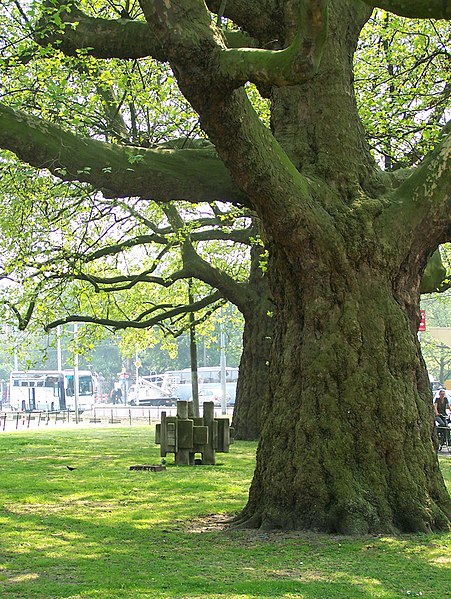 File:Horizontale compositie Henk Zweerus Leidsebosje Amsterdam.jpg