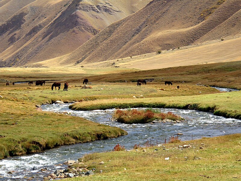 File:Horses alpine meadow Kyrgyzstan.jpg