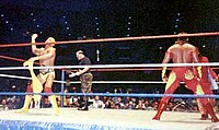 Hulk Hogan And Brutus Beefcake