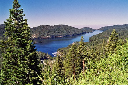 A photo of Huntington Lake from above, green trees surround the long blue lake.