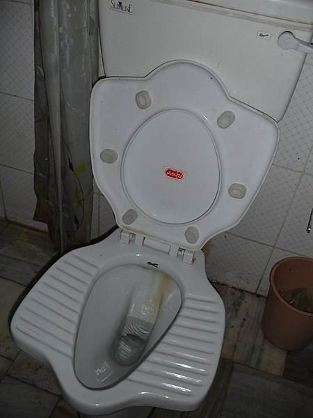 File:Hybrid squat toilet (207097770).jpg