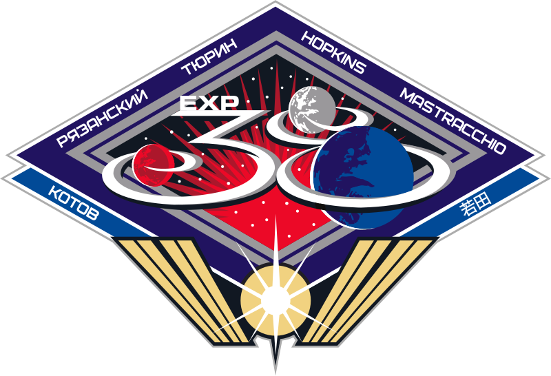 File:ISS Expedition 38 Patch.svg