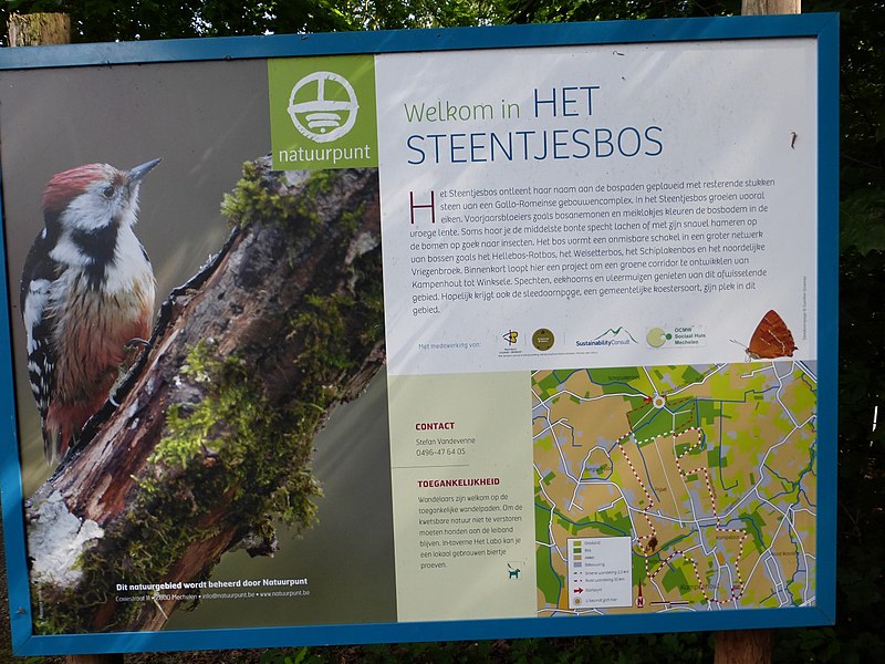 File:Infobord Steentjesbos - 229144 - onroerenderfgoed.jpg