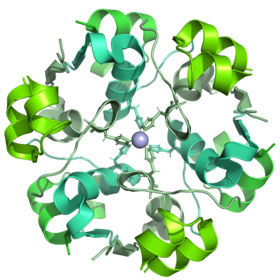 Insulin glulisine 6GV0 cartoon.png