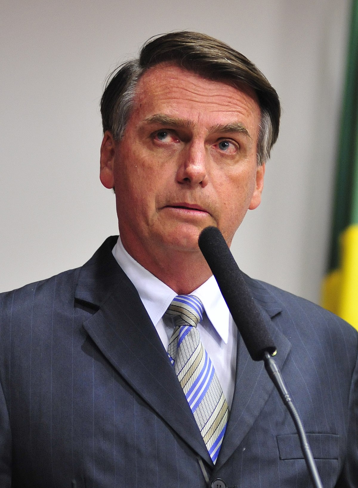 ファイル Jair Bolsonaro Cropped Jpg Wikipedia