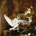 Jan Baptist Weenix - Naturaleza muerta con un cisne muerto.jpg