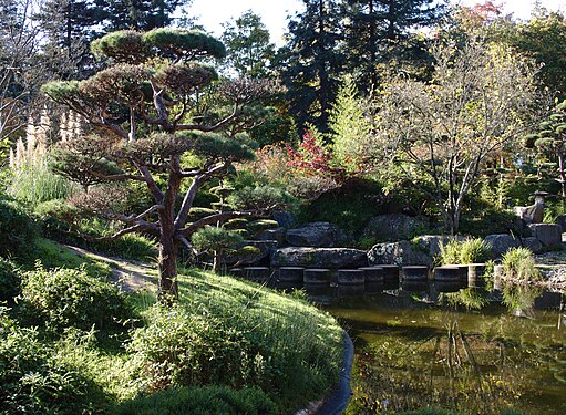 Japanese garden on the Île de Versailles in Nantes, France