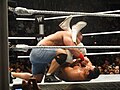 John Cena wrestling.jpg