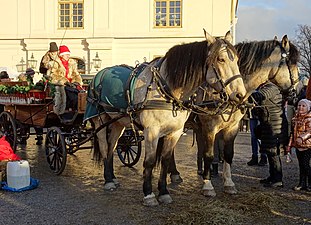 Drottningholms Slott: Slottets historik, Slottsrum i urval, Slottsparken, skulpturer och fontäner