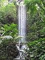 "Waterfall Pavilion"