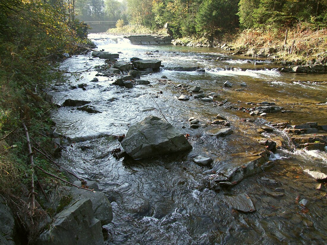 Kamienica (lewy dopływ Dunajca)