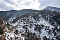 * Nomination Kandi Pass (left of centre) in snow, Mandi District, Himachal --Tagooty 05:40, 15 October 2021 (UTC) * Promotion Good quality. --Moroder 16:31, 22 October 2021 (UTC)