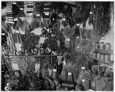 DISPLAY OF KANSAS AGRICULTURAL PRODUCTS.