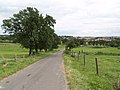 Feldweg nach Kerlingen