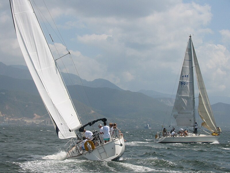 File:Kingston Harbour Sailing Race.jpg