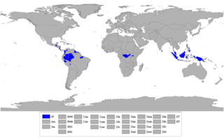 https://upload.wikimedia.org/wikipedia/commons/thumb/7/75/Koppen_World_Map_Af.png/320px-Koppen_World_Map_Af.png