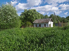 rednoe bomen 12.jpg