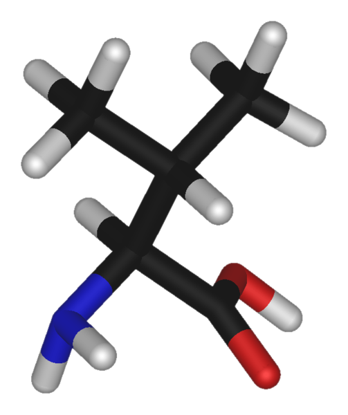 File:L-valine-3D-sticks.png