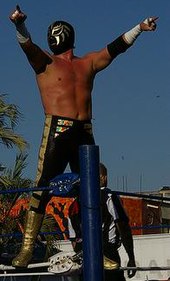 The wrestler La Sombra standing on the second rope of a wrestling ring, pointing to the fans during an outdoor event.