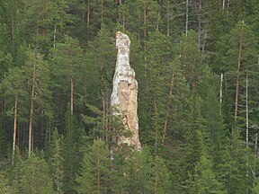 Forest; Lena Pillars, Lena River, eastern Siberia