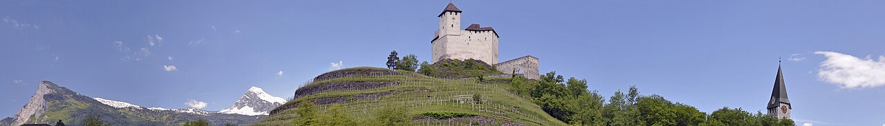 Liechtenstein banner.jpg