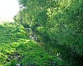 Loch Fergus Burn.jpg