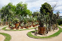 Jardin mexicain du jardin botanique de Lyon.