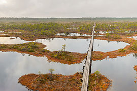 Footbridge in the Männikjärve Bog, Jõgeva Parish, Endla Nature Reserve