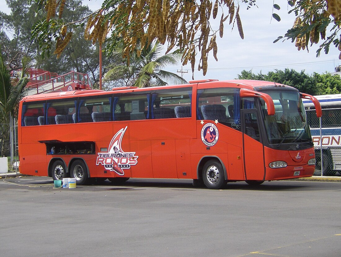 CD Tiburones Rojos de Veracruz