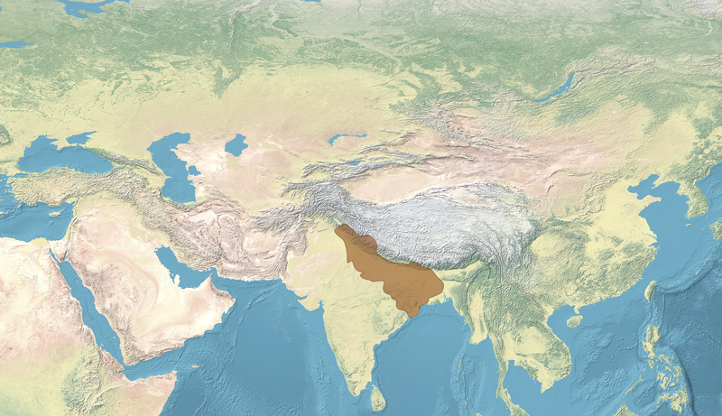 File:Map of the Pala Empire in Asia.png