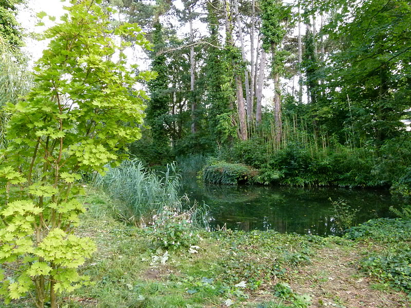 File:Mare au jardin agronomique tropical.JPG