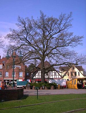 Osterholz-Scharmbeck: Geografie, Geschichte, Religion