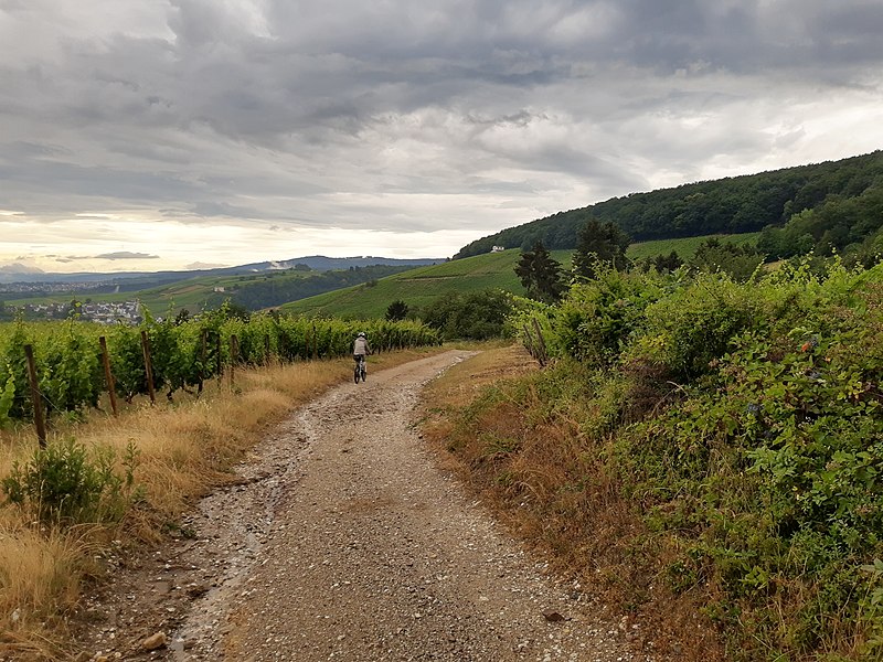 File:Martinsthal after rain.jpg