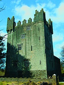 Castle Matrix near Rathkeale Matrix castle ireland.jpg