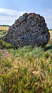 Menhir de Rouilly