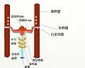 2018年12月24日 (一) 02:49版本的缩略图