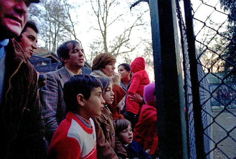 File:Milano Giardino zoologico 1981.jpg