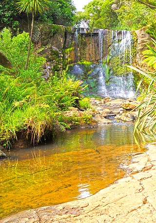 <span class="mw-page-title-main">Mokoroa Falls</span>