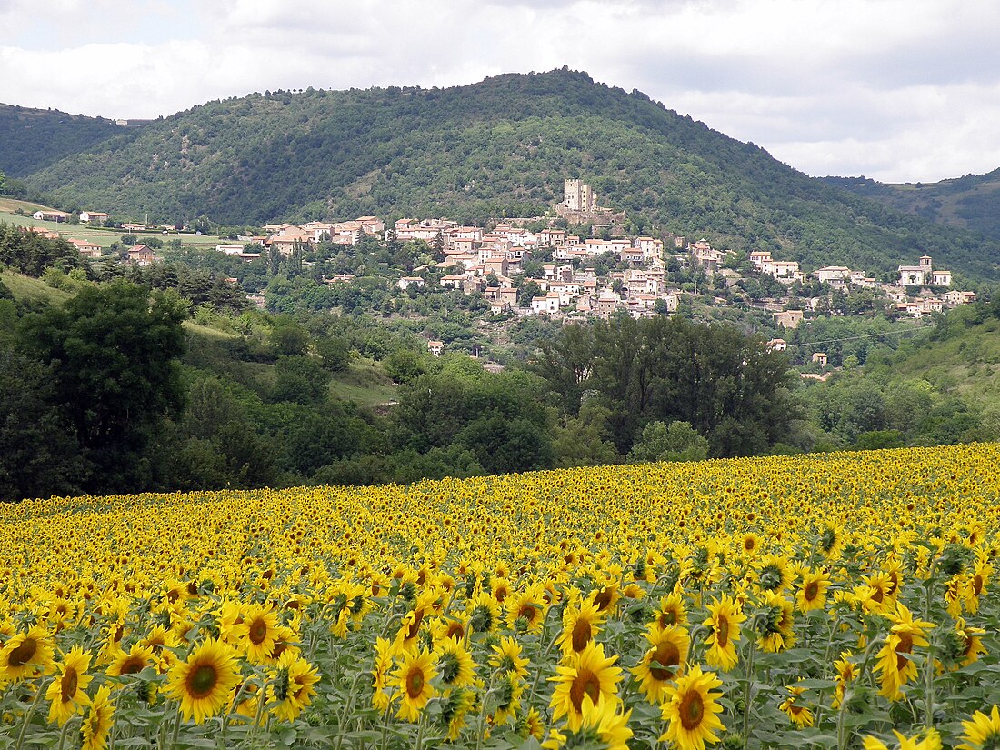 Montaigut-le-Blanc (Puy-de-Dôme)