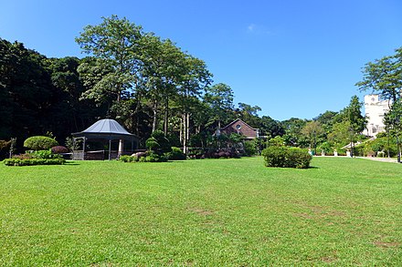 Mount Austin Playground lawn Mt Austin Road Playground Lawn 2016.jpg