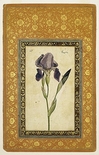 <span class="mw-page-title-main">Mohammad Zaman</span> 17th century Iranian painter and illuminator