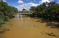 Murrumbidgee River, with a depth of 15 feet (4.57m) after 100+mm of rain fell in the Wagga Wagga district, viewed from the Wiradjuri Bridge in Wagga Wagga