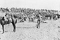 Mysore and Bengal Lancers with Bikanir Camel Corps in the Sinai Desert 1915 IWM Q15568.jpg
