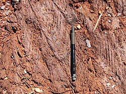 Example of a large-scale crenulation forming kink-folds, Nathans Mine, Glengarry Basin, W.A., showing the superposition of F5 foliation on earlier F3-F4 foliation. A mechanical pencil is seen for scale comparison. NAT F2foldsF1.jpg