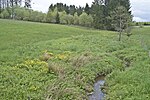 Naturschutzgebiet Großmicketal